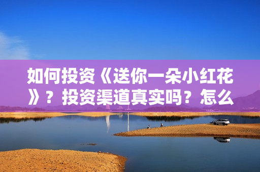 如何投资《送你一朵小红花》？投资渠道真实吗？怎么个人投资？