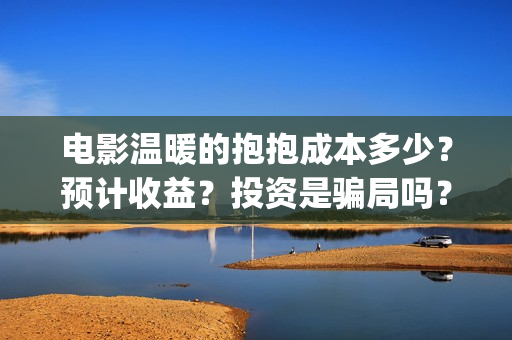 电影温暖的抱抱成本多少？预计收益？投资是骗局吗？(电影温暖的抱抱演员表)
