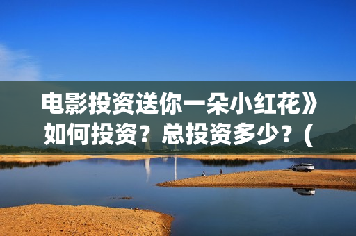 电影投资送你一朵小红花》如何投资？总投资多少？(电影投资独家揭秘)