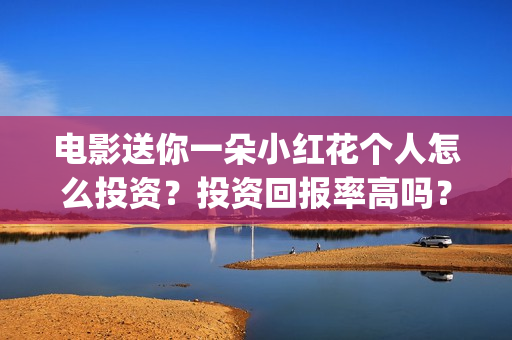 电影送你一朵小红花个人怎么投资？投资回报率高吗？(电影送你一朵小红花讲述的主题是抗癌吗)