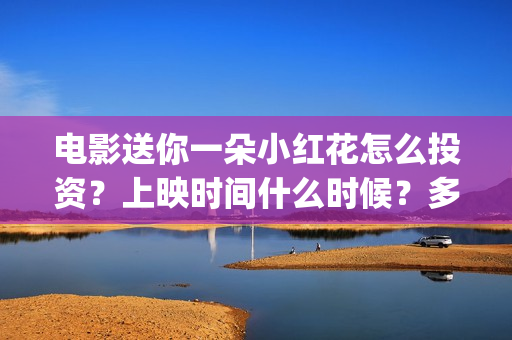 电影送你一朵小红花怎么投资？上映时间什么时候？多少起投？(电影送你一朵小红花豆瓣评分)