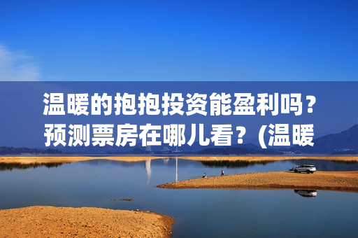 温暖的抱抱投资能盈利吗？预测票房在哪儿看？(温暖的抱抱投资会血本无归吗)