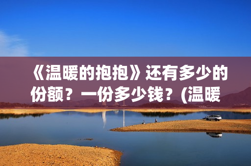 《温暖的抱抱》还有多少的份额？一份多少钱？(温暖的抱抱为什么禁了)