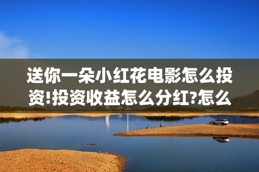 送你一朵小红花电影怎么投资!投资收益怎么分红?怎么投资?(送你一朵小红花原唱)