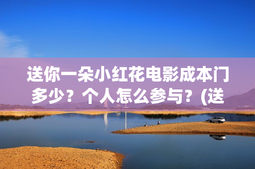送你一朵小红花电影成本门多少？个人怎么参与？(送你一朵小红花简谱)