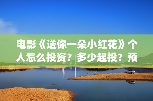 电影《送你一朵小红花》个人怎么投资？多少起投？预计收益多少？(电影《送你一朵小红花》)