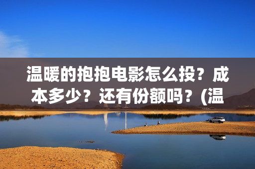 温暖的抱抱电影怎么投？成本多少？还有份额吗？(温暖的抱抱这部电影)