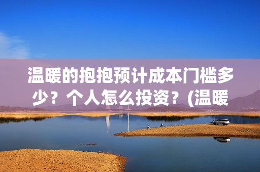 温暖的抱抱预计成本门槛多少？个人怎么投资？(温暖的抱抱上线)