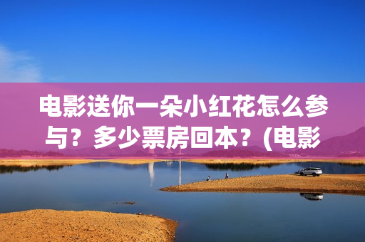 电影送你一朵小红花怎么参与？多少票房回本？(电影送你一朵小红花讲述的主题是抗癌吗)