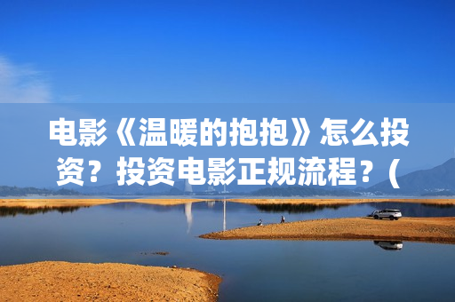 电影《温暖的抱抱》怎么投资？投资电影正规流程？(温暖的抱免费)