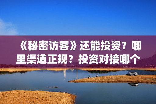 《秘密访客》还能投资？哪里渠道正规？投资对接哪个出品方？(秘密访客讲的什么鬼)