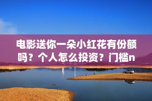 电影送你一朵小红花有份额吗？个人怎么投资？门槛n？(电影送你一朵小红花豆瓣评分)