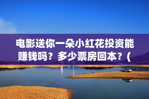电影送你一朵小红花投资能赚钱吗？多少票房回本？(电影送你一朵小红花的英文)
