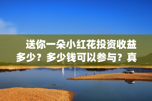 　送你一朵小红花投资收益多少？多少钱可以参与？真实成本多少？(送你一朵小红花电影免费观看)