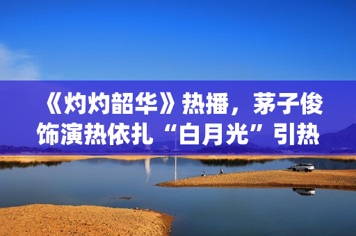 《灼灼韶华》热播，茅子俊饰演热依扎“白月光”引热议(灼灼韶华热依扎电视剧)