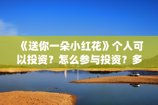 《送你一朵小红花》个人可以投资？怎么参与投资？多少起投？(送你一朵小红花原唱)