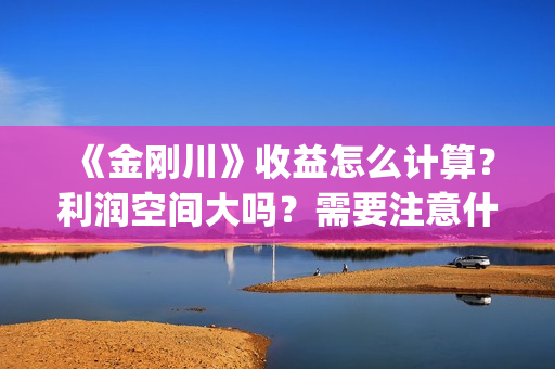 《金刚川》收益怎么计算？利润空间大吗？需要注意什么？(金刚川花了多少钱)