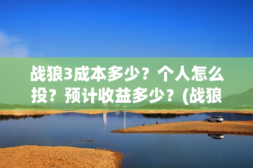 战狼3成本多少？个人怎么投？预计收益多少？(战狼3投资多少钱拍的)