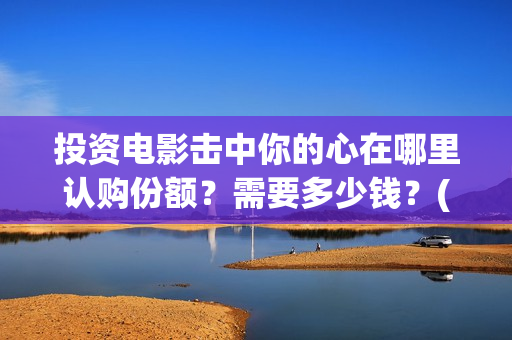 投资电影击中你的心在哪里认购份额？需要多少钱？(电影投资成功案例)