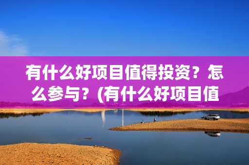 有什么好项目值得投资？怎么参与？(有什么好项目值得做)
