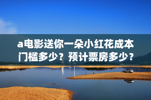 a电影送你一朵小红花成本门槛多少？预计票房多少？(送你一朵花完整版)
