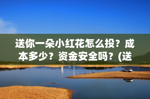 送你一朵小红花怎么投？成本多少？资金安全吗？(送你一朵小红花演员表)