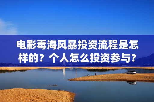 电影毒海风暴投资流程是怎样的？个人怎么投资参与？(毒海风暴上映时间)