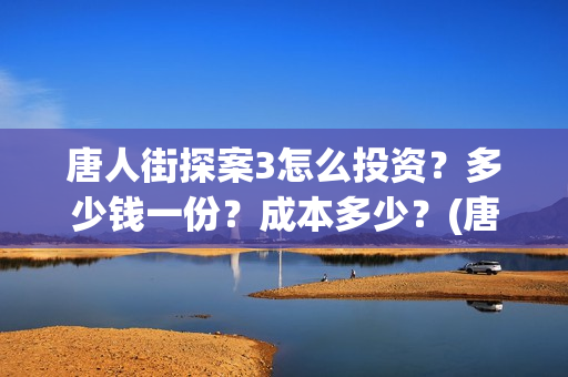 唐人街探案3怎么投资？多少钱一份？成本多少？(唐人街探案怎么看顺序)