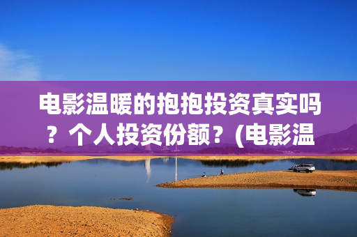 电影温暖的抱抱投资真实吗？个人投资份额？(电影温暖的抱抱在线观看)