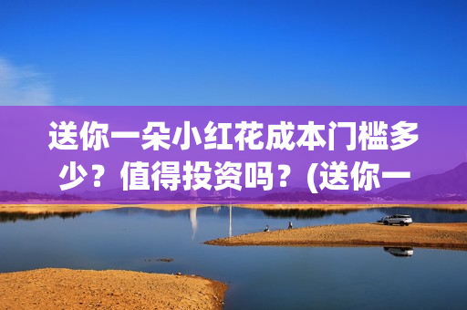 送你一朵小红花成本门槛多少？值得投资吗？(送你一朵小红花 歌曲)