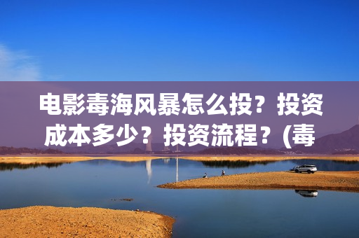 电影毒海风暴怎么投？投资成本多少？投资流程？(毒海风暴 电影)