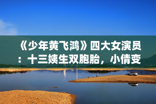 《少年黄飞鸿》四大女演员：十三姨生双胞胎，小倩变美，最红是她(少年黄飞鸿之铁马骝免费观看)