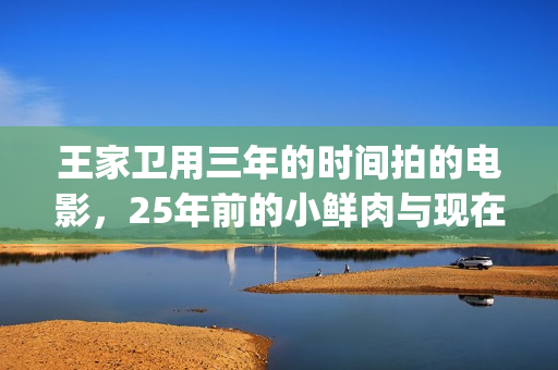 王家卫用三年的时间拍的电影，25年前的小鲜肉与现在有何不同？(播放王家卫的)