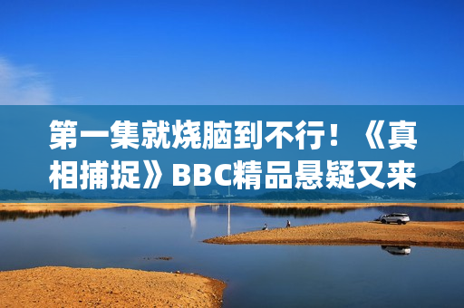第一集就烧脑到不行！《真相捕捉》BBC精品悬疑又来了！(电视剧烧脑第一集解析)