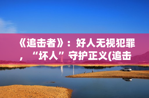 《追击者》：好人无视犯罪，“坏人”守护正义(追击者cut)