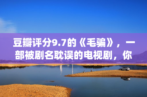 豆瓣评分9.7的《毛骗》，一部被剧名耽误的电视剧，你看过没？(豆瓣评分9.0以上的)