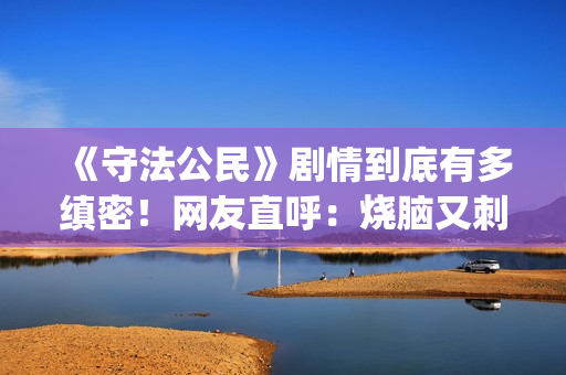 《守法公民》剧情到底有多缜密！网友直呼：烧脑又刺激！(守法公民 腾讯视频)