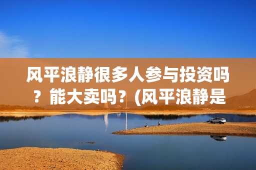 风平浪静很多人参与投资吗？能大卖吗？(风平浪静是什么歌)
