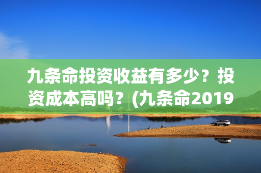 九条命投资收益有多少？投资成本高吗？(九条命2019)