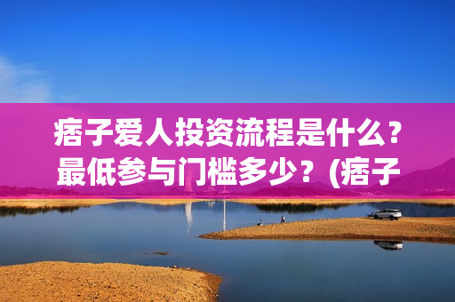 痞子爱人投资流程是什么？最低参与门槛多少？(痞子爱人2021)