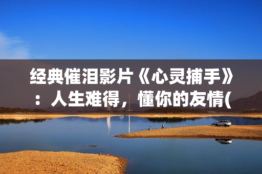 经典催泪影片《心灵捕手》：人生难得，懂你的友情(重磅催泪电影)