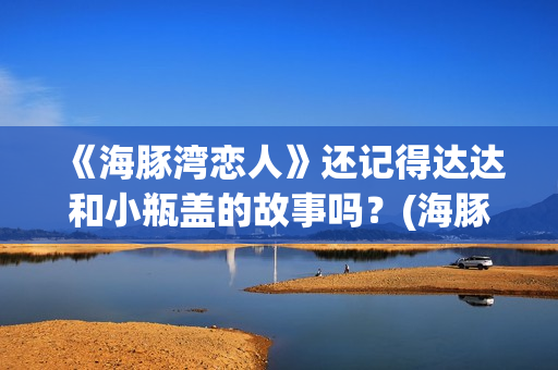 《海豚湾恋人》还记得达达和小瓶盖的故事吗？(海豚湾恋人电视剧全集完整版)