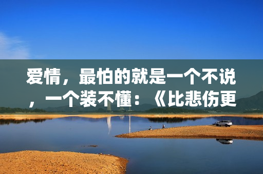 爱情，最怕的就是一个不说，一个装不懂：《比悲伤更悲伤的故事》(感情中最怕的就是)