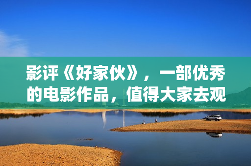 影评《好家伙》，一部优秀的电影作品，值得大家去观看！(影评《好家伙》在线观看)