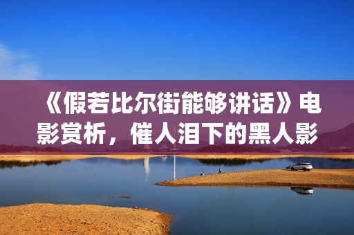 《假若比尔街能够讲话》电影赏析，催人泪下的黑人影片(电影假若比尔街能够讲话)