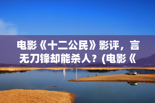 电影《十二公民》影评，言无刀锋却能杀人？(电影《十二公民》演员表)