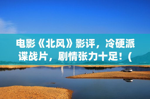 电影《北风》影评,冷硬派谍战片,剧情张力十足!(北风韩国电影北风) 电影《北风》影评,冷硬派谍战片,剧情张力十足!(北风韩国电影北风)