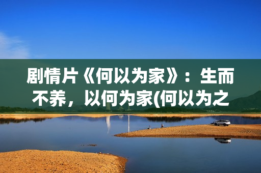 剧情片《何以为家》：生而不养，以何为家(何以为之)