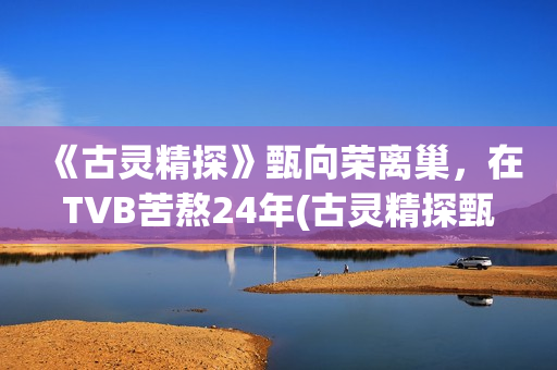 《古灵精探》甄向荣离巢，在TVB苦熬24年(古灵精探甄向荣小说)