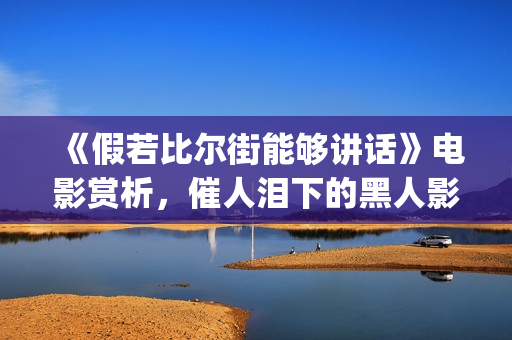 《假若比尔街能够讲话》电影赏析，催人泪下的黑人影片(假如比尔街能够说话)